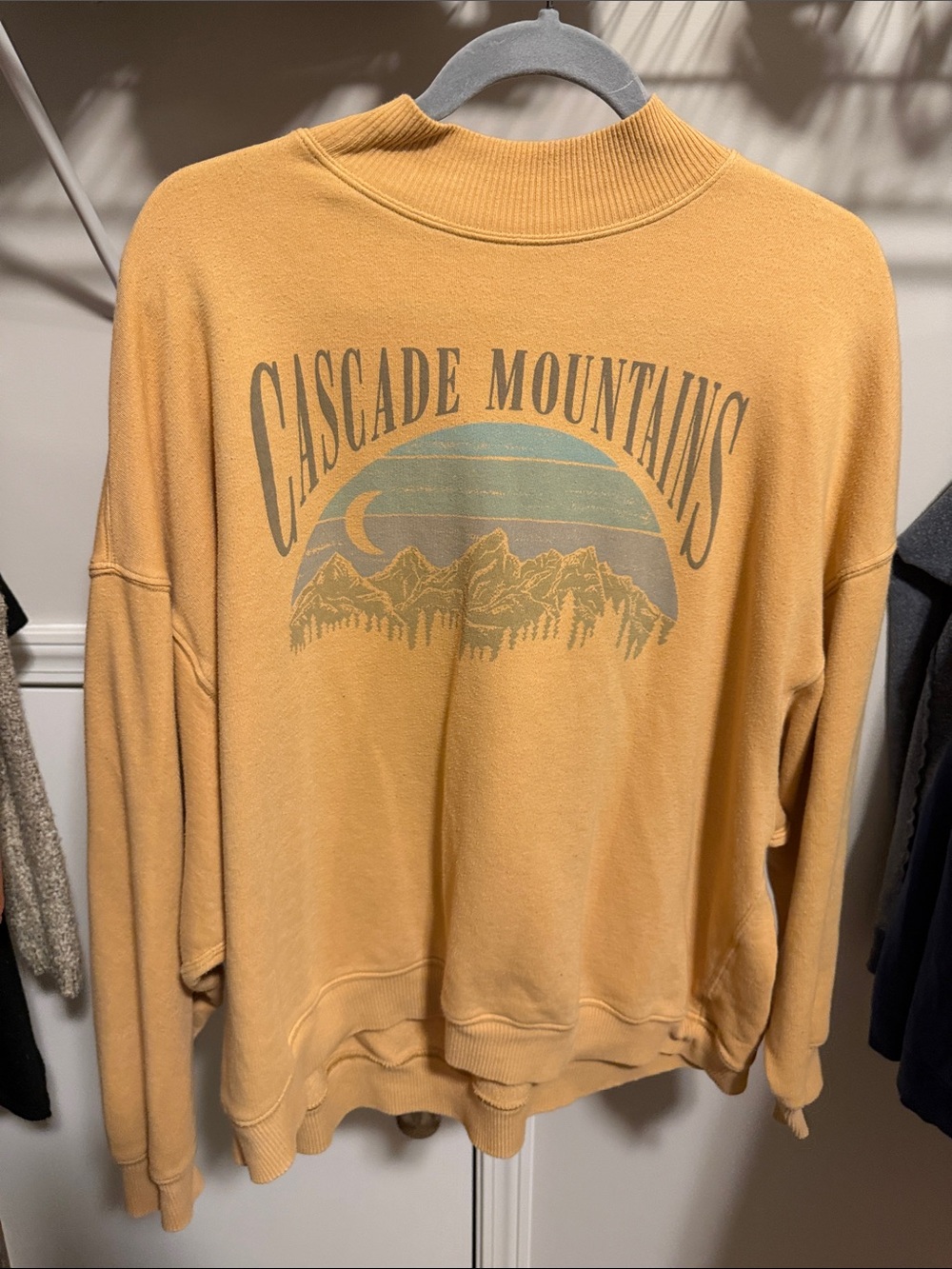 American Eagle Outfitters Cascade Mountains Graphic Crewneck - Mustard Yellow - Picture 2 of 5